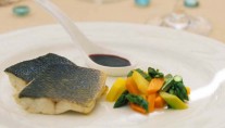 ANTARES AVANCE - Chef Sample 2